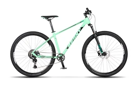 Bicicletă pentru copii Beany Blaster 29 Light Green