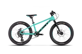 Bicicletă pentru copii Beany Blaster XC 20 Turquoise