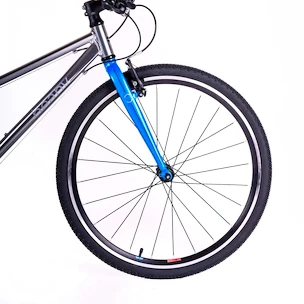 Bicicletă pentru copii Beany Zero  26 Silver