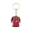 Breloc JF Sports Canada  NHL Arizona Coyotes