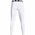 Colanți pentru bărbați Under Armour  ColdGear Armour Leggings White