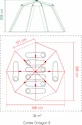 Cort Coleman  Cortes Octagon 8