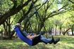 Hamac Eno  Lounger Hanging Chair Purple/Teal