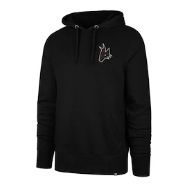 Hanorac pentru bărbați 47 Brand NHL Arizona Coyotes Imprint Backer 47 BURNSIDE Hood