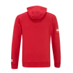 Hanorac pentru bărbați CCM  FLAG HOODIE TEAM AUSTRIA Red