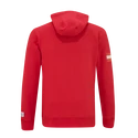 Hanorac pentru bărbați CCM  FLAG HOODIE TEAM AUSTRIA Red