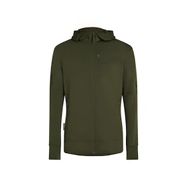 Hanorac pentru bărbați Icebreaker Merino 260 Quantum IV LS Zip Hoodie Loden