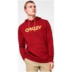 Hanorac pentru bărbați Oakley  B1B PO HOODIE 2.0