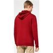 Hanorac pentru bărbați Oakley  B1B PO HOODIE 2.0