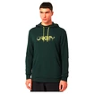 Hanorac pentru bărbați Oakley  The Post Po Hoodie