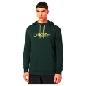 Hanorac pentru bărbați Oakley  The Post Po Hoodie