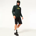 Hanorac pentru bărbați Oakley  The Post Po Hoodie