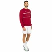 Hanorac pentru bărbați Tecnifibre  Club Sweater Cardinal