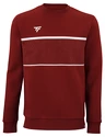 Hanorac pentru bărbați Tecnifibre  Club Sweater Cardinal