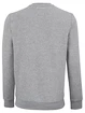 Hanorac pentru bărbați Tecnifibre  Club Sweater Silver