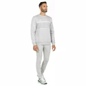 Hanorac pentru bărbați Tecnifibre  Club Sweater Silver