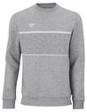 Hanorac pentru bărbați Tecnifibre  Club Sweater Silver