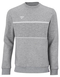 Hanorac pentru bărbați Tecnifibre Club Sweater Silver