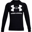 Hanorac pentru bărbați Under Armour  Rival Fleece Big Logo HD-BLK