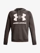 Hanorac pentru bărbați Under Armour  Rival Fleece Big Logo HD-BRN