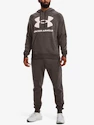 Hanorac pentru bărbați Under Armour  Rival Fleece Big Logo HD-BRN