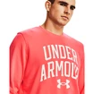 Hanorac pentru bărbați Under Armour  RIVAL TERRY CREW-RED