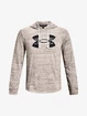 Hanorac pentru bărbați Under Armour  Rival Terry Logo Hoodie-WHT