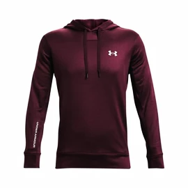 Hanorac pentru bărbați Under Armour Terry Hoodie Red