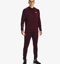 Hanorac pentru bărbați Under Armour  Terry Hoodie Red XXL