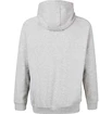 Hanorac pentru bărbați Virtus  Oralie Hoody grey