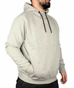 Hanorac pentru bărbați Virtus  Oralie Hoody grey