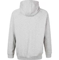 Hanorac pentru bărbați Virtus  Oralie Hoody grey