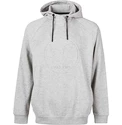 Hanorac pentru bărbați Virtus  Oralie Hoody grey