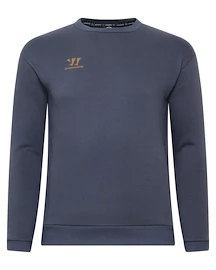 Hanorac pentru bărbați Warrior Aurum Sweater Grey