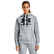 Hanorac pentru femei Under Armour  Rival Fleece Logo Hoodie grey