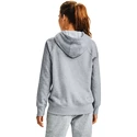 Hanorac pentru femei Under Armour  Rival Fleece Logo Hoodie grey