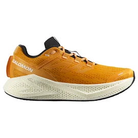 Încălțăminte de alergare pentru bărbați Salomon Aero Glide 3 Turmeric/White/Black