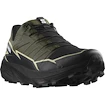 Încălțăminte de alergare pentru bărbați Salomon Thundercross  Gore-Tex Olive Night/Black/Alfalfa