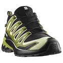 Încălțăminte de alergare pentru bărbați Salomon Xa Pro 3D V9 GTX Black/Lime Cream/Dark Citron