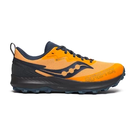 Încălțăminte de alergare pentru bărbați Saucony Peregrine 14 Gtx Peel/Shadow