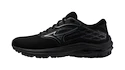 Încălțăminte de alergare pentru femei Mizuno Wave Equate 8 Black/Metallic Gray