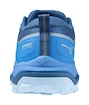 Încălțăminte de alergare pentru femei Mizuno Wave Ibuki 4 Gtx Marina/White/Federal Blue