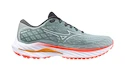 Încălțăminte de alergare pentru femei Mizuno  Wave Inspire 20 Gray Mist/White/Dubarry