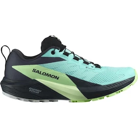 Încălțăminte de alergare pentru femei Salomon Sense Ride 5 Gtx Blue Radiance / Green Ash / India Ink