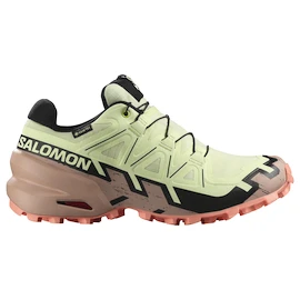 Încălțăminte de alergare pentru femei Salomon Speedcross 6 Gore-Tex Lime Cream/Mahogany Rose/Black