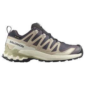 Încălțăminte de alergare pentru femei Salomon Xa Pro 3D V9 Gore-Tex Nine Iron/Oxford Tan/Alfalfa