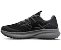 Încălțăminte de alergare pentru femei Saucony  Ride 15 TR GTX Black/Charcoal