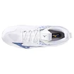 Încălțăminte de sală pentru bărbați Mizuno  Wave MOMENTUM 3 White/Bellwether Blue