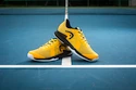 Încălțăminte de tenis pentru bărbați Head Sprint Pro 3.5 Men BNBK