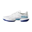 Încălțăminte de tenis pentru bărbați Wilson Kaos Swift 1.5 Clay White/Blue